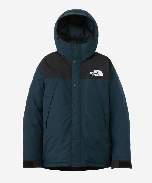 Sonny Label / サニーレーベル ダウンジャケット・ベスト | THE NORTH FACE　MOUNTAIN DOWN JACKET | 詳細3