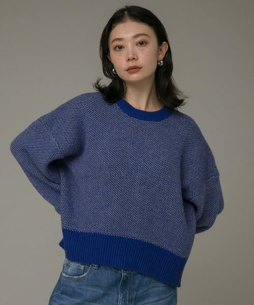 Sonny Label / サニーレーベル ニット・セーター | バーズアイジャガードニットプルオーバー | 詳細14