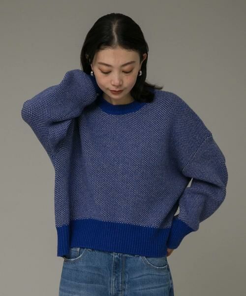 Sonny Label / サニーレーベル ニット・セーター | バーズアイジャガードニットプルオーバー | 詳細15