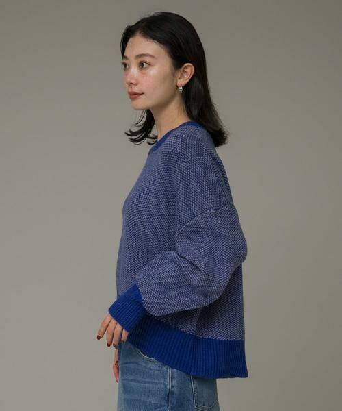 Sonny Label / サニーレーベル ニット・セーター | バーズアイジャガードニットプルオーバー | 詳細16