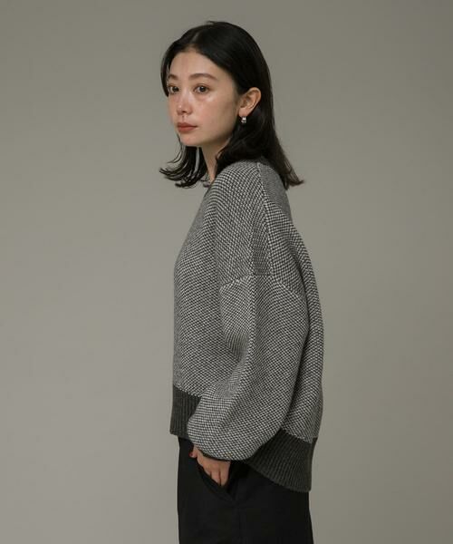 Sonny Label / サニーレーベル ニット・セーター | バーズアイジャガードニットプルオーバー | 詳細29