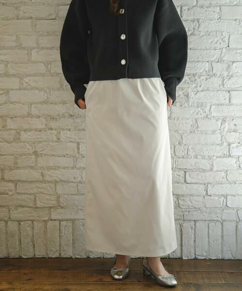 Sonny Label / サニーレーベル スカート | ドットアソートストレートスカート | 詳細1