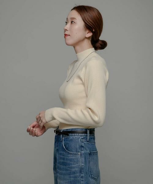 Sonny Label / サニーレーベル ニット・セーター | ウォッシャブルリブハイネックニットプルオーバー | 詳細13