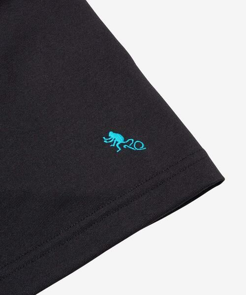 Sonny Label / サニーレーベル Tシャツ | THE NORTH FACE　Short-Sleeve TNF Monkey Magic Tee | 詳細8