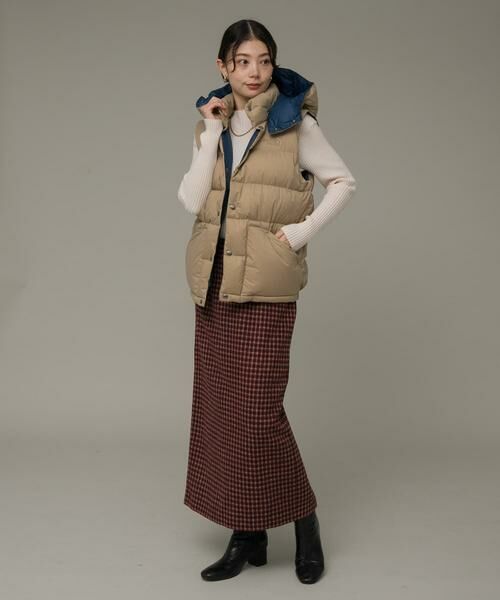 Sonny Label / サニーレーベル ダウンジャケット・ベスト | THE NORTH FACE　CAMP Sierra Vest | 詳細27