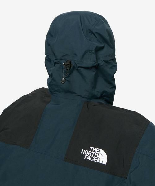 Sonny Label / サニーレーベル ダウンジャケット・ベスト | THE NORTH FACE　MOUNTAIN DOWN JACKET | 詳細9