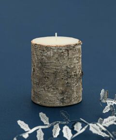 Sonny Label / サニーレーベル キャンドル | DULTON　Birch wood log candle