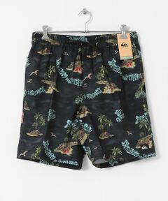 Sonny Label / サニーレーベル 水着・スイムグッズ | QUIKSILVER　EVERYDAY STRAIGHT VL 19