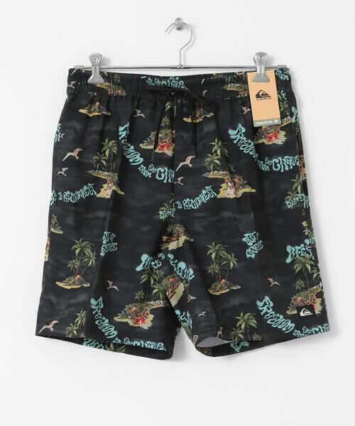 Sonny Label / サニーレーベル 水着・スイムグッズ | QUIKSILVER　EVERYDAY STRAIGHT VL 19 | 詳細1