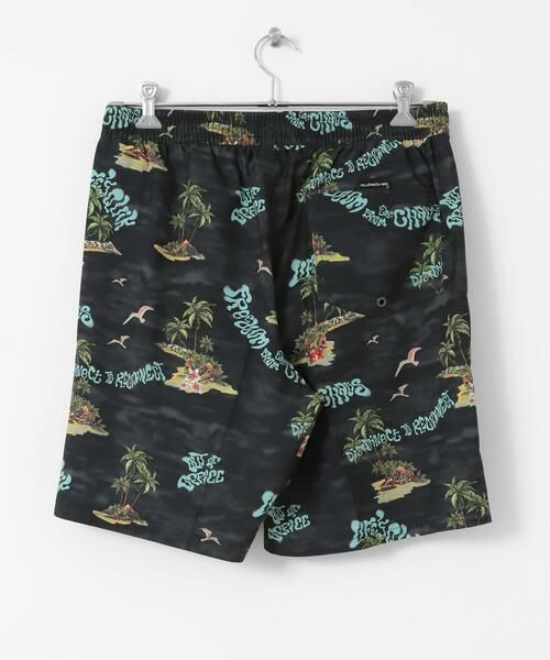 Sonny Label / サニーレーベル 水着・スイムグッズ | QUIKSILVER　EVERYDAY STRAIGHT VL 19 | 詳細3