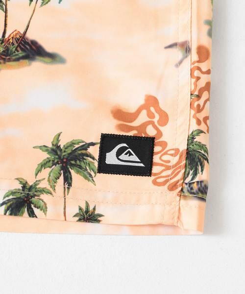 Sonny Label / サニーレーベル 水着・スイムグッズ | QUIKSILVER　EVERYDAY STRAIGHT VL 19 | 詳細16