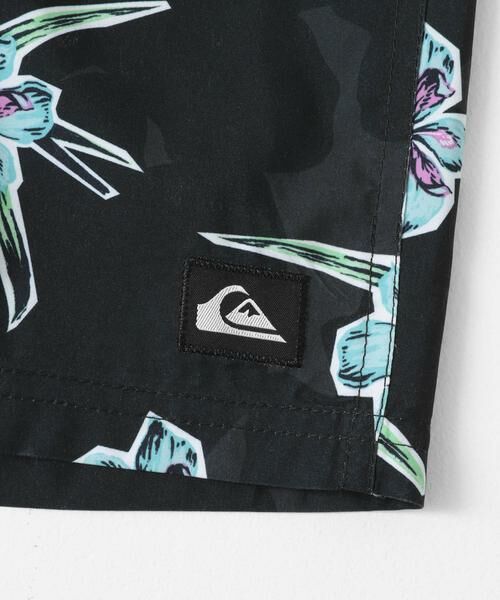 Sonny Label / サニーレーベル 水着・スイムグッズ | QUIKSILVER　EVERYDAY STRAIGHT VL 19 | 詳細18