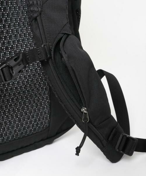 Sonny Label / サニーレーベル リュック・バックパック | GREGORY　ルーヌ20 | 詳細7