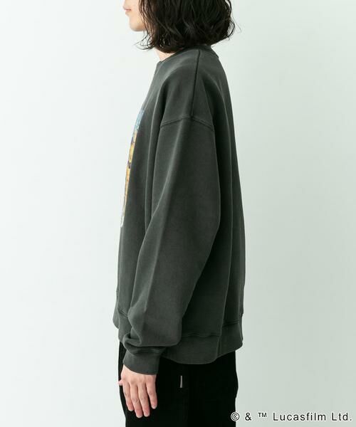 Sonny Label / サニーレーベル スウェット | STARWARSピグメントスウェットプルオーバー | 詳細5