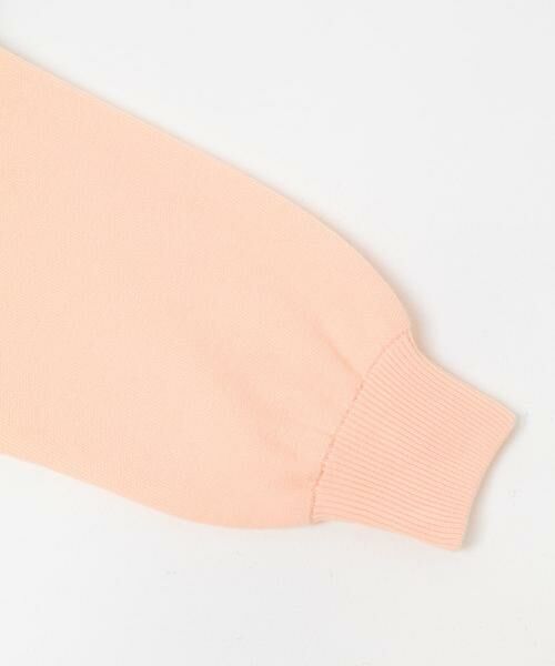 Sonny Label / サニーレーベル ニット・セーター | モックネックスウェットライクニットプルオーバー | 詳細9