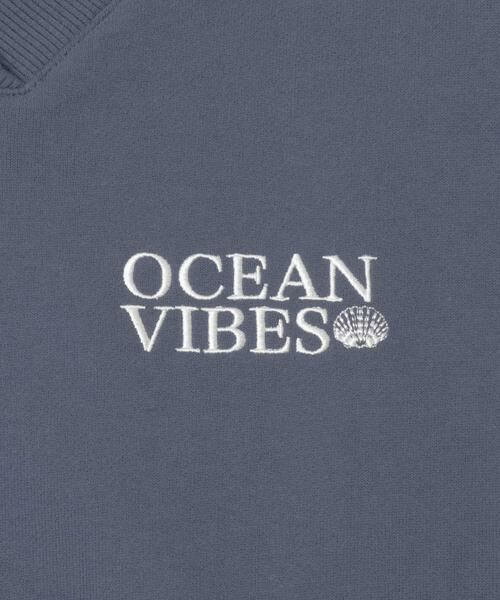 Sonny Label / サニーレーベル スウェット | Vネック刺繍スウェット | 詳細9