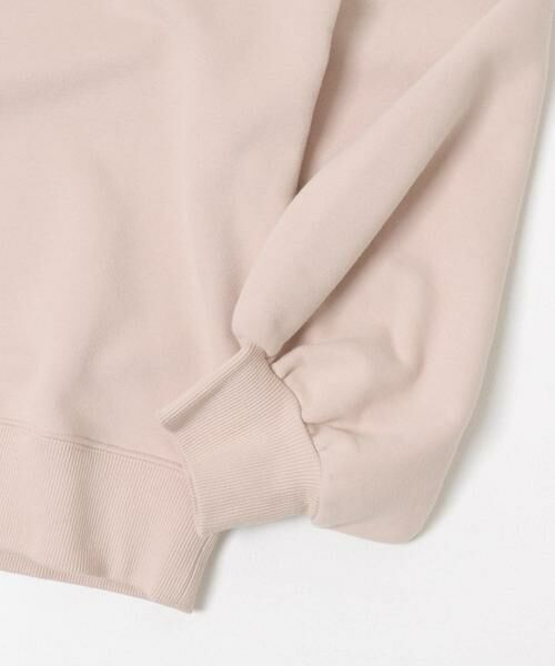 Sonny Label / サニーレーベル スウェット | Vネック刺繍スウェット | 詳細21