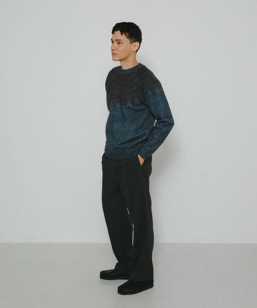 Sonny Label / サニーレーベル ニット・セーター | フェアアイル柄ニットプルオーバー | 詳細5