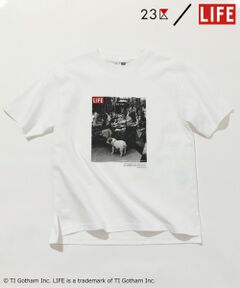 S size ONWARD(小さいサイズ) / エスサイズオンワード カットソー | 【23区/LIFE】PHOTO Tシャツ