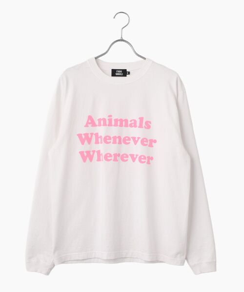 STYLE ＆ EDIT / スタイル＆エディット カットソー | カットソー（WHITE）