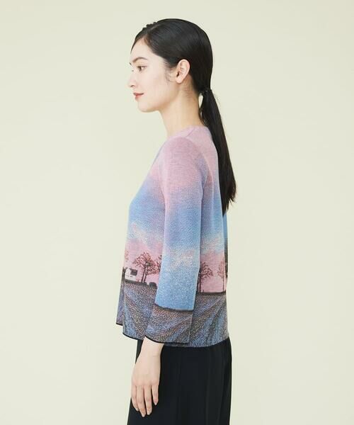 Sybilla / シビラ ニット・セーター | ランドスケープニットプルオーバー | 詳細3
