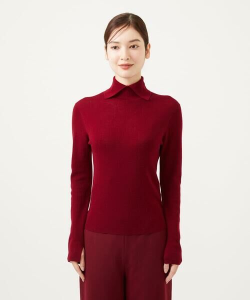 Sybilla / シビラ ニット・セーター | ステッチデザインハイネックプルオーバー | 詳細1