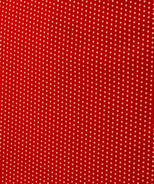 Sybilla / シビラ ロング・マキシ丈ワンピース | ドットプリントジャージードレス | 詳細9