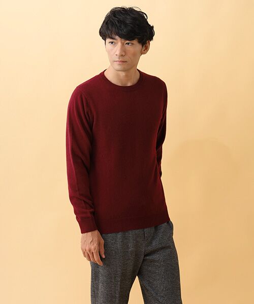 TAKASHIMAYA CASHMERE（レディース、メンズ） / タカシマヤ カシミヤ（レディース、メンズ） ニット・セーター | カシミヤ クルーネックセーター【S/M/L】 | 詳細6