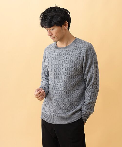 TAKASHIMAYA CASHMERE（レディース、メンズ） / タカシマヤ カシミヤ（レディース、メンズ） ニット・セーター | カシミヤ ミドルゲージクルーネックセーター【S/M/L】 | 詳細2