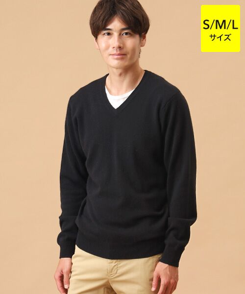 TAKASHIMAYA CASHMERE(レディース、メンズ)/タカシマヤカシミヤ(レディース、メンズ) カシミヤ Vネックセーター【S/M/L】 ブラック L TAKASHIMAYA CASHMERE(レディース、メンズ)/タカシマヤカシミヤ(レディース、メンズ) カシミヤ Vネックセーター【S/M/L】 ブラック L