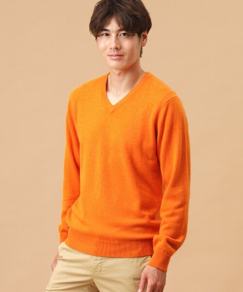 TAKASHIMAYA CASHMERE(レディース、メンズ) / タカシマヤカシミヤ(レディース、メンズ) ニット・セーター | カシミヤ Vネックセーター【S/M/L】 | 詳細6