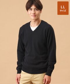TAKASHIMAYA CASHMERE(レディース、メンズ) / タカシマヤカシミヤ(レディース、メンズ) ニット・セーター | カシミヤ Vネックセーター【LL】
