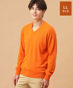 TAKASHIMAYA CASHMERE(レディース、メンズ) / タカシマヤカシミヤ(レディース、メンズ) ニット・セーター | カシミヤ Vネックセーター【LL】