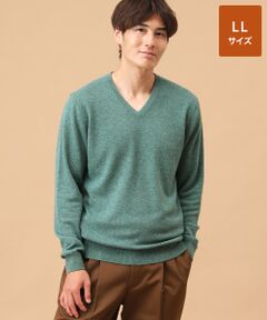 TAKASHIMAYA CASHMERE(レディース、メンズ) / タカシマヤカシミヤ(レディース、メンズ) ニット・セーター | カシミヤ Vネックセーター【LL】