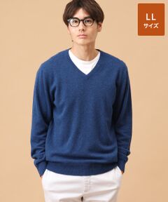 TAKASHIMAYA CASHMERE 家で洗えるカシミヤセーター Lサイズ カシミヤ クルーネックセーター【LL】 （ニット・セーター