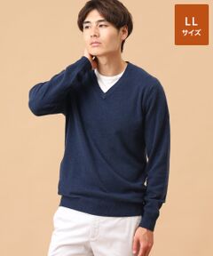 TAKASHIMAYA CASHMERE(レディース、メンズ) / タカシマヤカシミヤ(レディース、メンズ) ニット・セーター | カシミヤ Vネックセーター【LL】