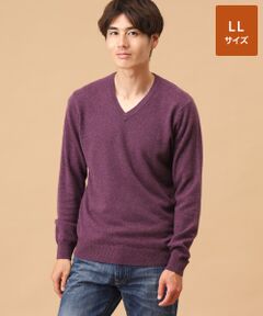 TAKASHIMAYA CASHMERE(レディース、メンズ) / タカシマヤカシミヤ(レディース、メンズ) ニット・セーター | カシミヤ Vネックセーター【LL】