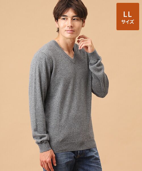 TAKASHIMAYA CASHMERE(レディース、メンズ)/タカシマヤカシミヤ(レディース、メンズ) カシミヤ Vネックセーター【LL】 グレー LL TAKASHIMAYA CASHMERE(レディース、メンズ)/タカシマヤカシミヤ(レディース、メンズ) カシミヤ Vネックセーター【LL】 グレー LL