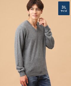 TAKASHIMAYA CASHMERE(レディース、メンズ) / タカシマヤカシミヤ(レディース、メンズ) ニット・セーター | カシミヤ Vネックセーター【3L】