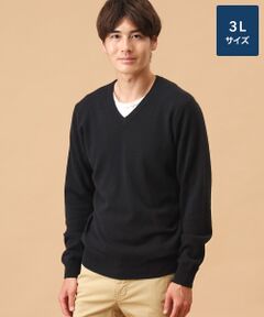 TAKASHIMAYA CASHMERE(レディース、メンズ) / タカシマヤカシミヤ(レディース、メンズ) ニット・セーター | カシミヤ Vネックセーター【3L】