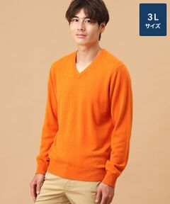 TAKASHIMAYA CASHMERE(レディース、メンズ) / タカシマヤカシミヤ(レディース、メンズ) ニット・セーター | カシミヤ Vネックセーター【3L】