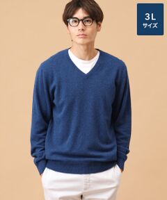 TAKASHIMAYA CASHMERE(レディース、メンズ) / タカシマヤカシミヤ(レディース、メンズ) ニット・セーター | カシミヤ Vネックセーター【3L】