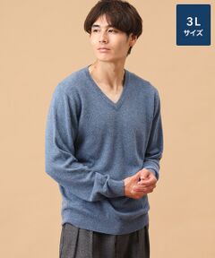 TAKASHIMAYA CASHMERE(レディース、メンズ) / タカシマヤカシミヤ(レディース、メンズ) ニット・セーター | カシミヤ Vネックセーター【3L】