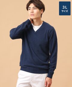 TAKASHIMAYA CASHMERE(レディース、メンズ) / タカシマヤカシミヤ(レディース、メンズ) ニット・セーター | カシミヤ Vネックセーター【3L】