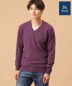 TAKASHIMAYA CASHMERE(レディース、メンズ) / タカシマヤカシミヤ(レディース、メンズ) ニット・セーター | カシミヤ Vネックセーター【3L】