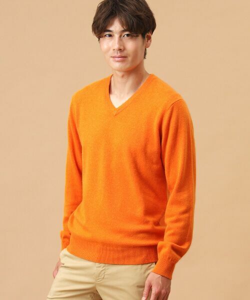 TAKASHIMAYA CASHMERE(レディース、メンズ) / タカシマヤカシミヤ(レディース、メンズ) ニット・セーター | カシミヤ Vネックセーター【3L】 | 詳細6