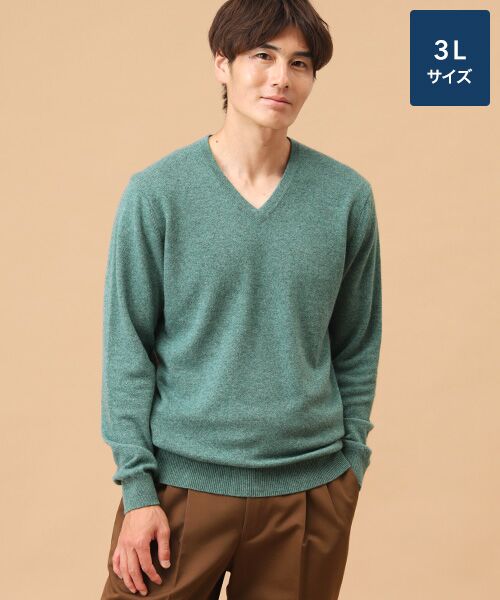 TAKASHIMAYA CASHMERE(レディース、メンズ)/タカシマヤカシミヤ(レディース、メンズ) カシミヤ Vネックセーター【3L】 ライトモスグリーン 3L TAKASHIMAYA CASHMERE(レディース、メンズ)/タカシマヤカシミヤ(レディース、メンズ) カシミヤ Vネックセーター【3L】 ライトモスグリーン 3L