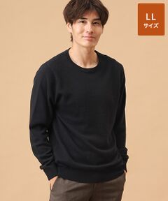 TAKASHIMAYA CASHMERE(レディース、メンズ) / タカシマヤカシミヤ(レディース、メンズ) ニット・セーター | カシミヤ クルーネックセーター【LL】