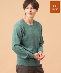 TAKASHIMAYA CASHMERE(レディース、メンズ) / タカシマヤカシミヤ(レディース、メンズ) ニット・セーター | カシミヤ クルーネックセーター【LL】