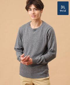 TAKASHIMAYA CASHMERE(レディース、メンズ) / タカシマヤカシミヤ(レディース、メンズ) ニット・セーター | カシミヤ クルーネックセーター【3L】